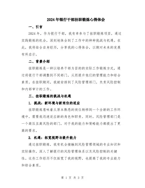 2024年银行干部挂职锻炼心得体会