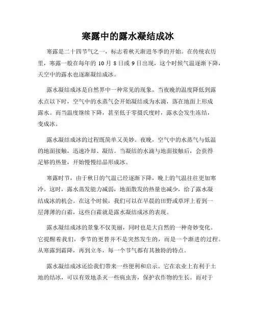 寒露中的露水凝结成冰
