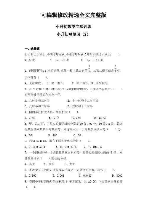 小升初数学总复习(含答案)精选全文