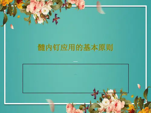 髓内钉应用的基本原则32页PPT