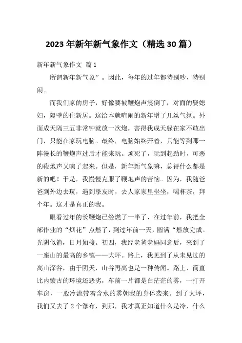 2023年新年新气象作文(精选30篇)