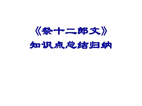 《祭十二郎文》知识点总结归纳复习过程