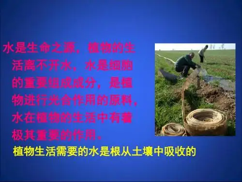 吸收作用——根对水分的吸收PPT课件1