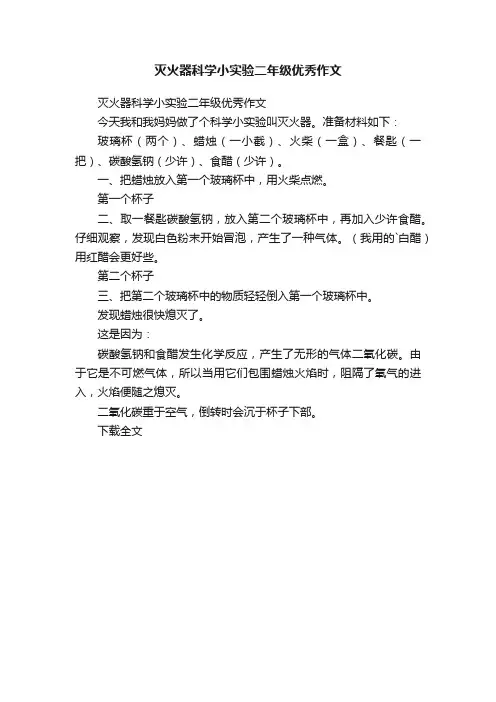 灭火器科学小实验二年级优秀作文