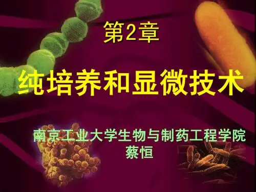 第2章 纯培养和显微技术