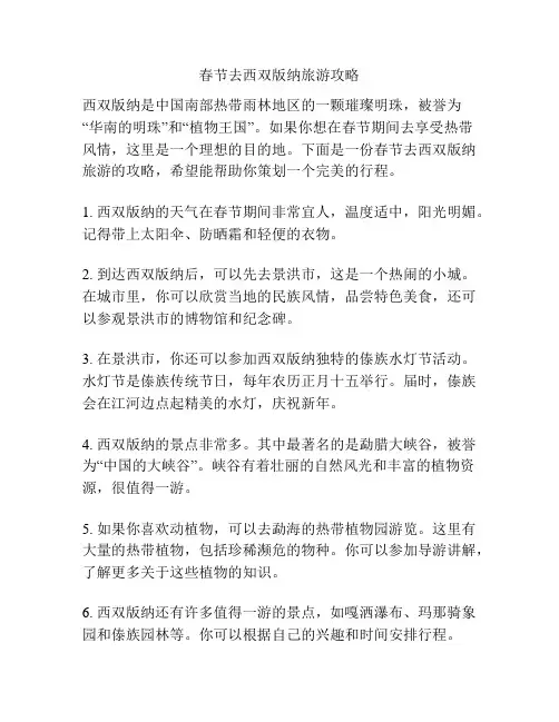 春节去西双版纳旅游攻略