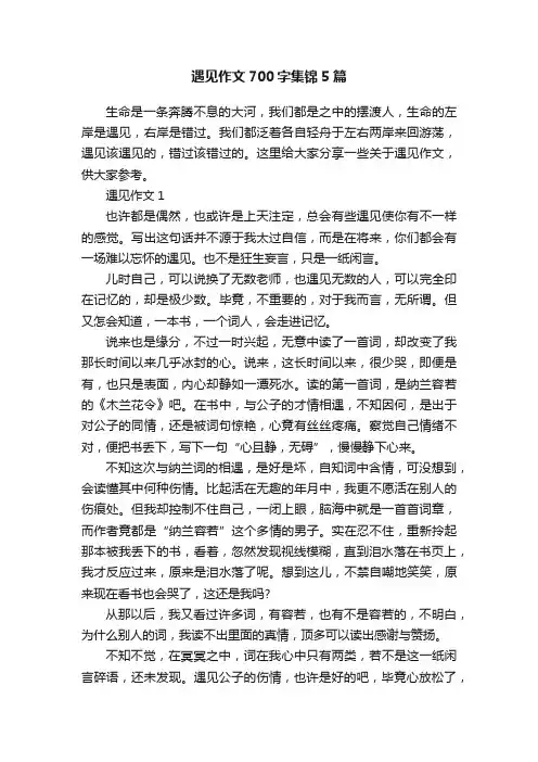 遇见作文700字集锦5篇