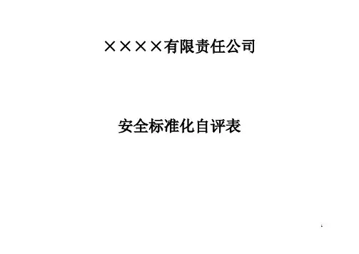 安全标准化自评表 