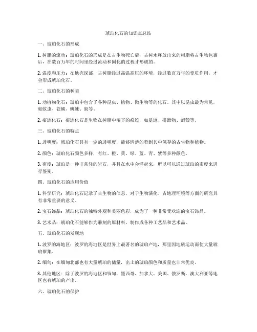 琥珀化石的知识点总结