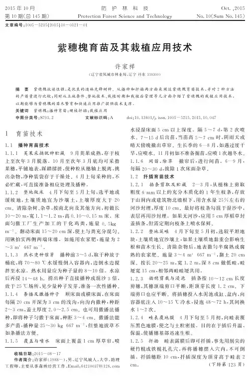 紫穗槐育苗及其栽植应用技术