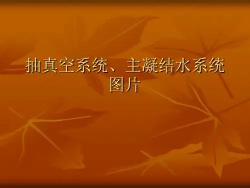 抽真空系统、主凝结水系统图片