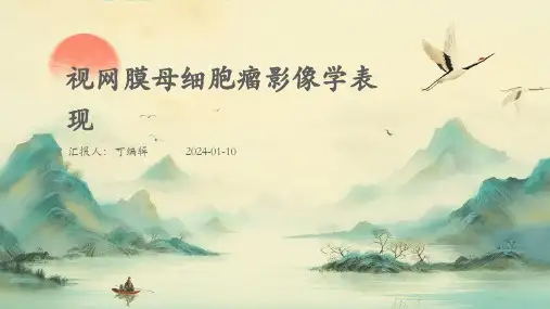 视网膜母细胞瘤影像学表现PPT