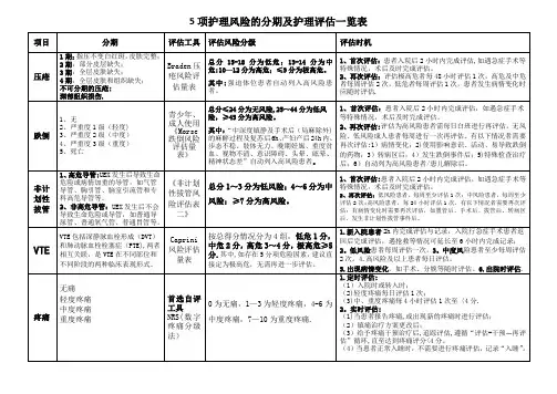5项护理风险评估一览表