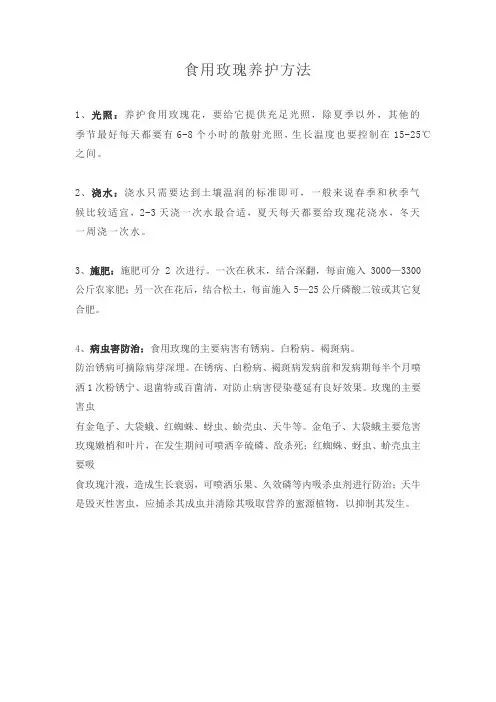 食用玫瑰养护方法