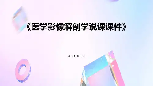 医学影像解剖学说课课件