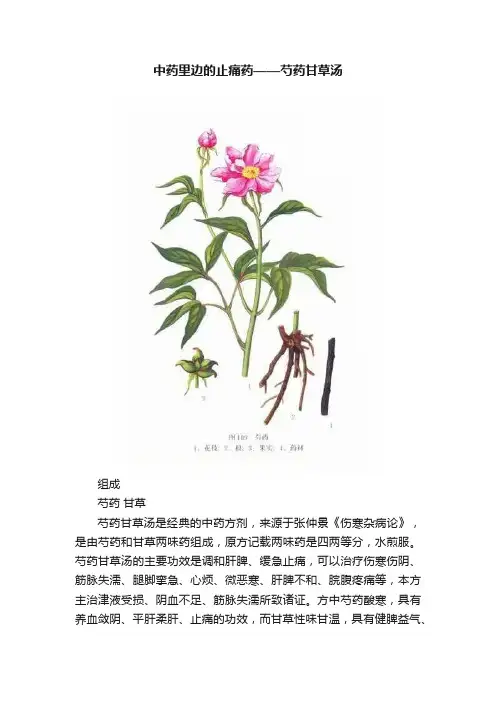 中药里边的止痛药——芍药甘草汤