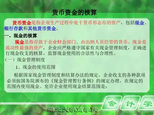 货币资金的核算概述(ppt 338页)