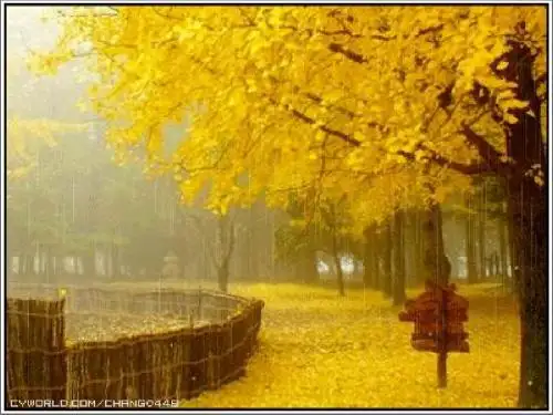 小学语文三年级上册《秋天的雨》PPT课件