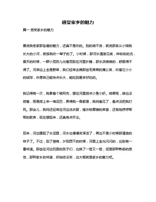 作文《感受家乡的魅力》