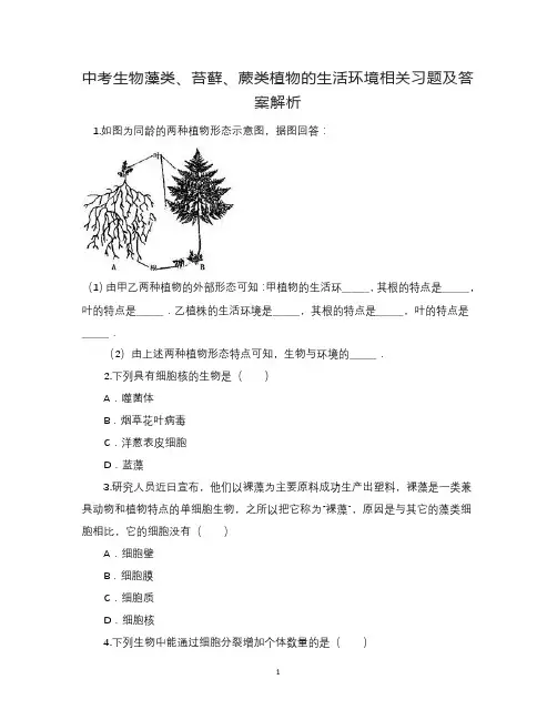 中考生物藻类、苔藓、蕨类植物的生活环境相关习题及答案解析