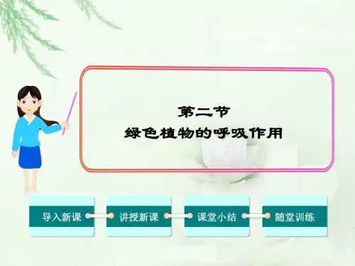 第二节  绿色植物的呼吸作用  课件 共26张PPT