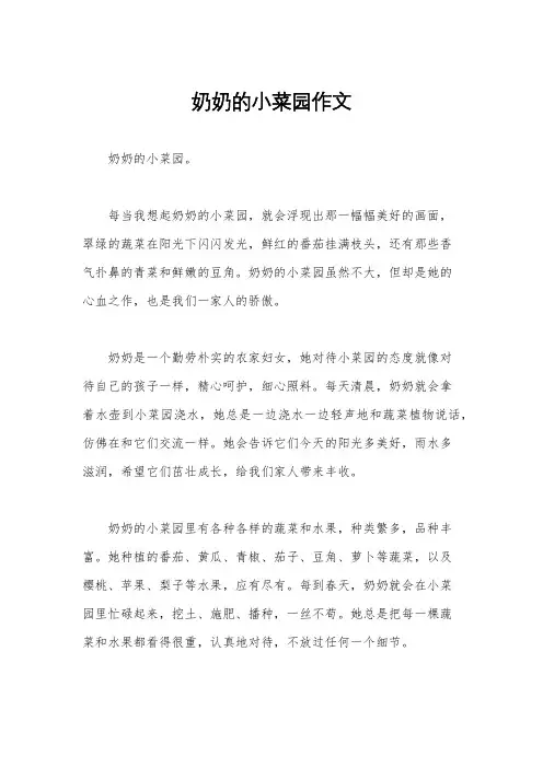 奶奶的小菜园作文