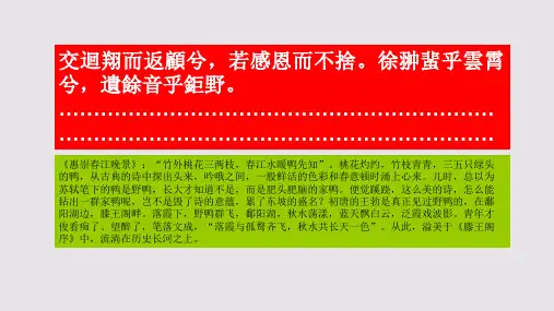 放凫赋第十二段赏析【明代】周是修骈体文