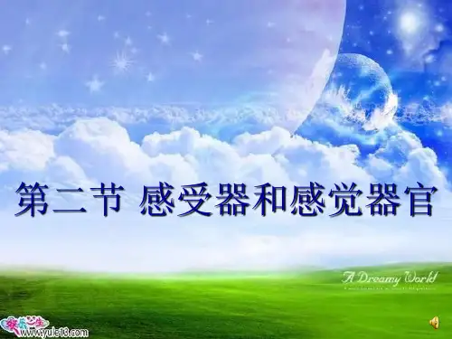 【初中生物】感受器和感觉器官PPT课件