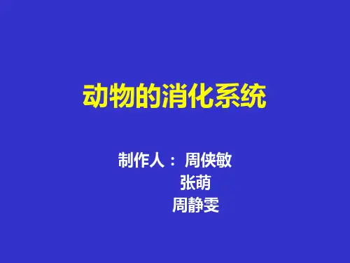 动物的消化系统.ppt