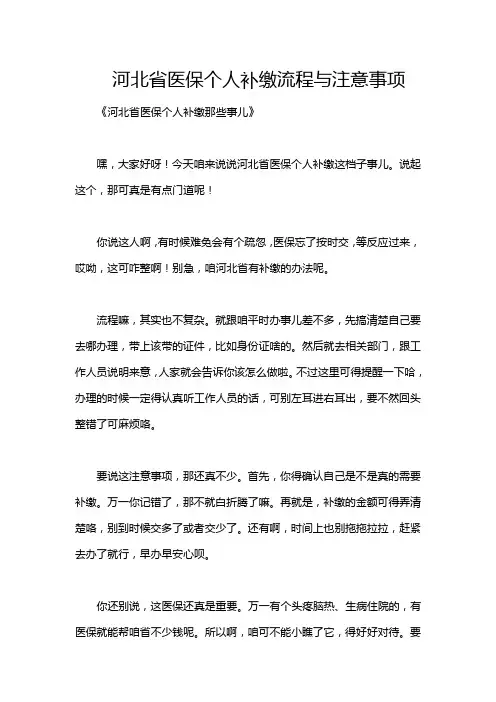 河北省医保个人补缴流程与注意事项