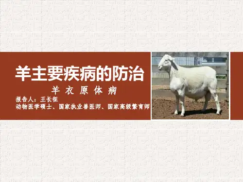 羊主要疾病的防治—羊衣原体病