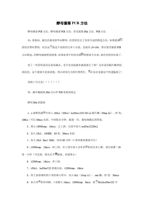 酵母菌落PCR