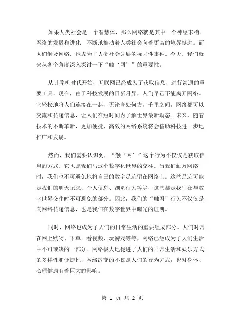 触“网”作文范文