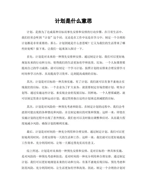 计划是什么意思