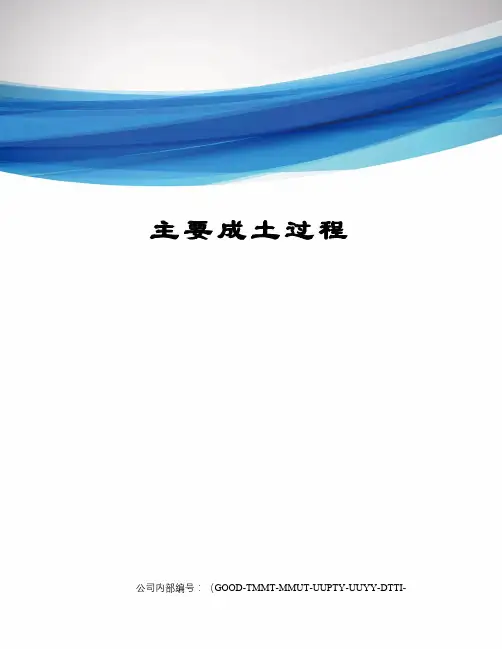主要成土过程