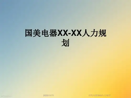 国美电器XXX人力规划