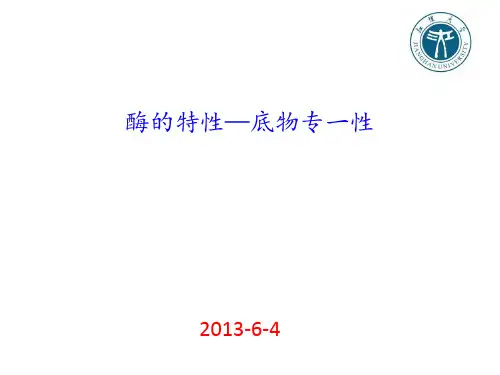 酶的特性—底物专一性