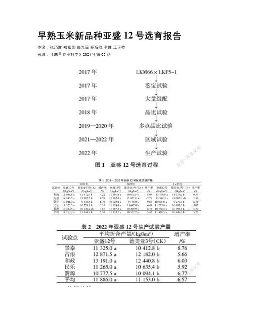 早熟玉米新品种亚盛12号选育报告