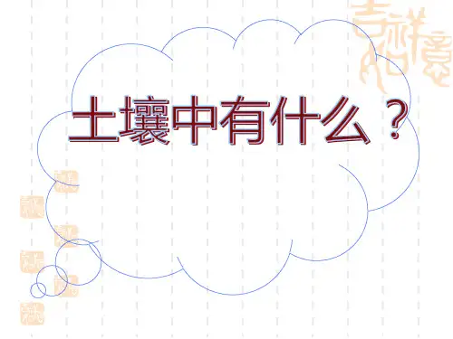 教科版五年级科学上册 《土壤中有什么》地球表面及其变化课件3 