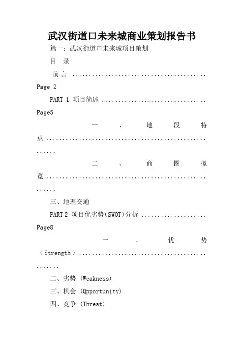 武汉街道口未来城商业策划报告书
