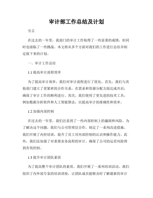 审计部工作总结及计划