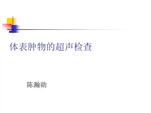 体表肿物