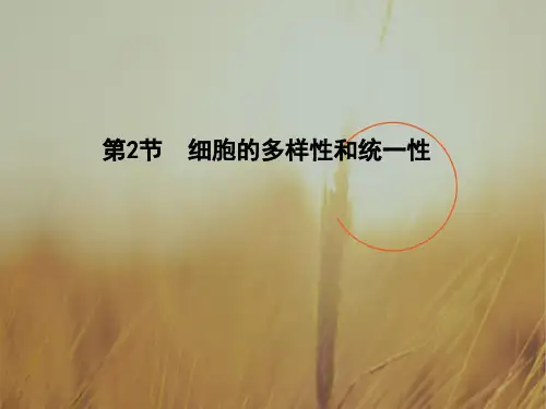 2018学年高中生物必修1同步精讲课件：第1章 第2节 走近细胞 细胞的多样性和统一性
