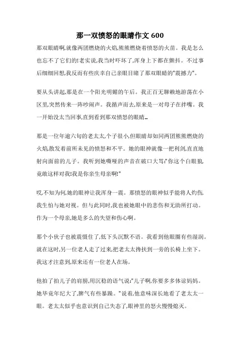 那一双愤怒的眼睛作文600