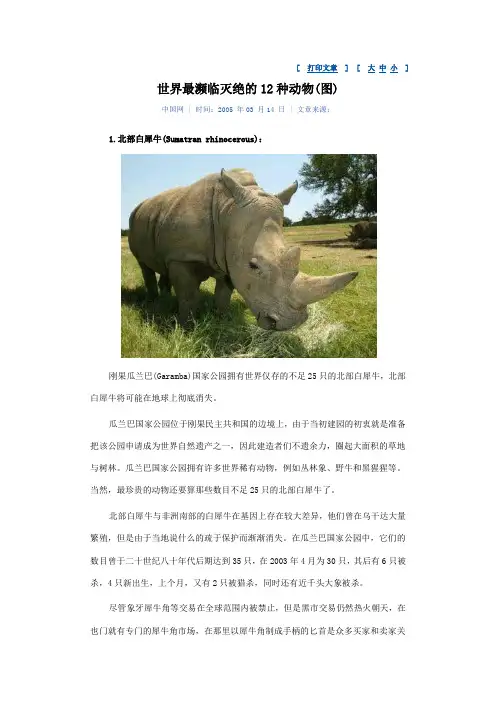 濒危动物