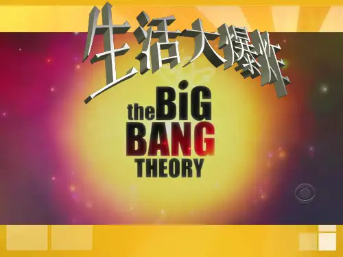 the big bang theory(生活大爆炸)