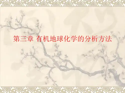 有机地球化学的分析方法