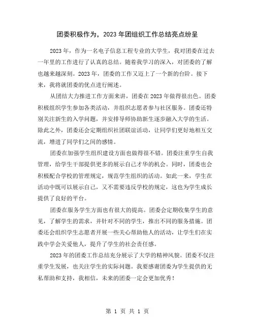 团委积极作为,2023年团组织工作总结亮点纷呈