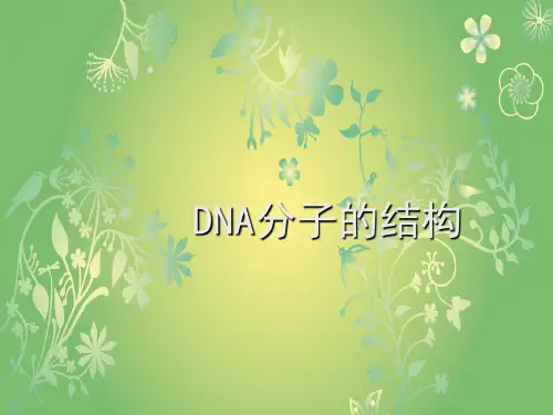 DNA分子结构PPT教学课件
