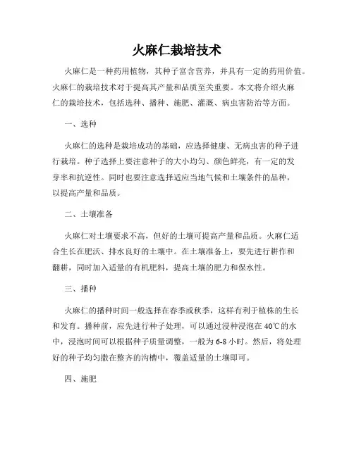 火麻仁栽培技术